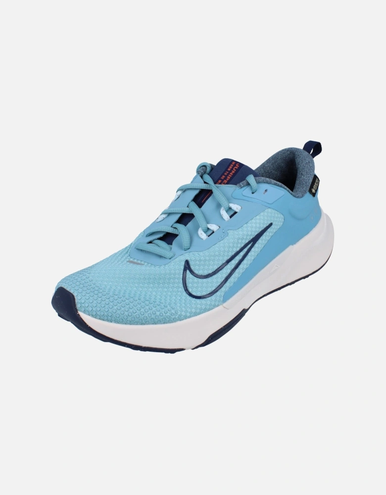 Juniper Trail 2 GTX V2 Mens HM9734 402