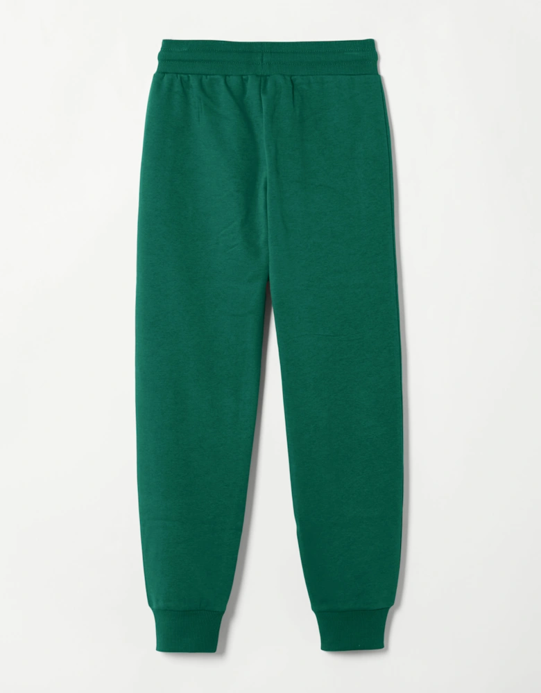 Stasere 2 Jnr Jog Pant - Dark Green