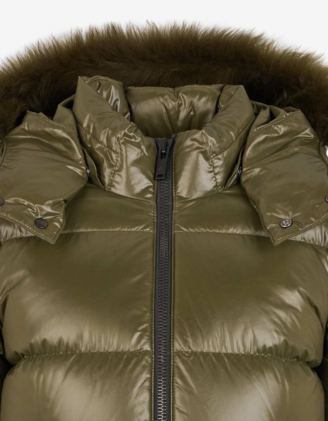 Kids Kings Down Padded Puffer Jacket in Green