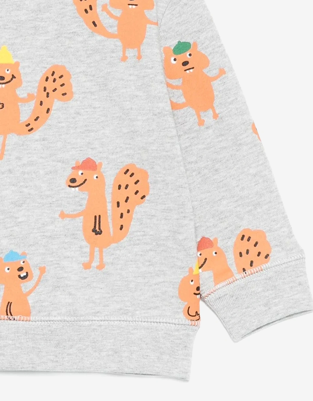 Baby Boys Squirrels AOP Sweatshirt in Grey