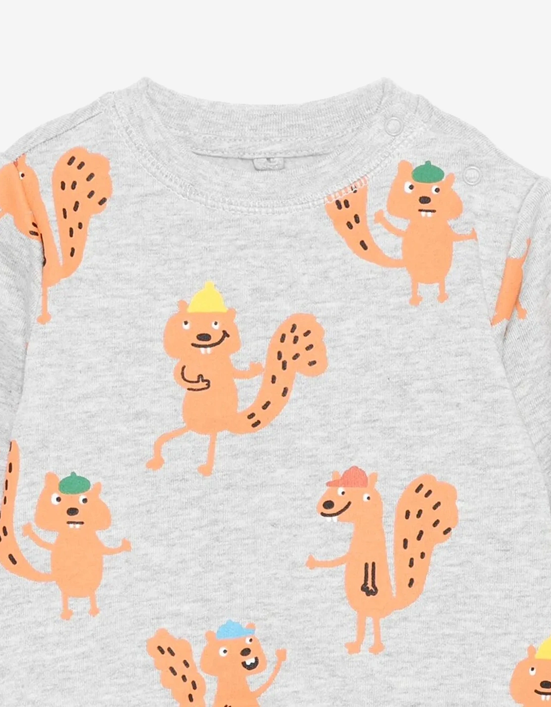 Baby Boys Squirrels AOP Sweatshirt in Grey