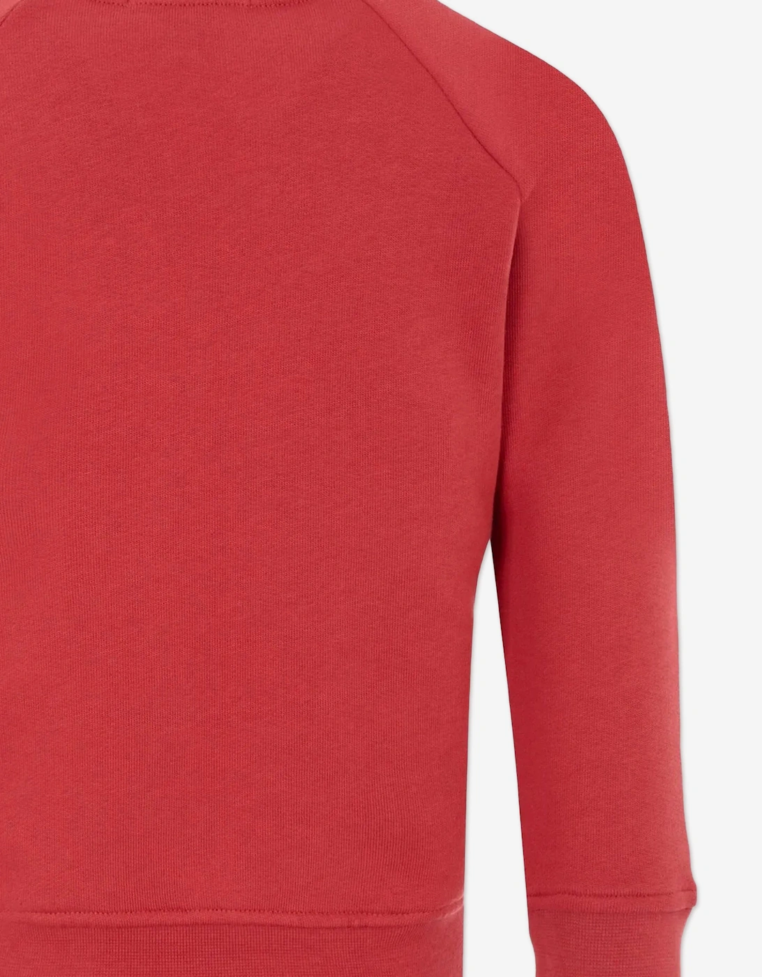 Boys Monster Logo Sweatshirt in Red