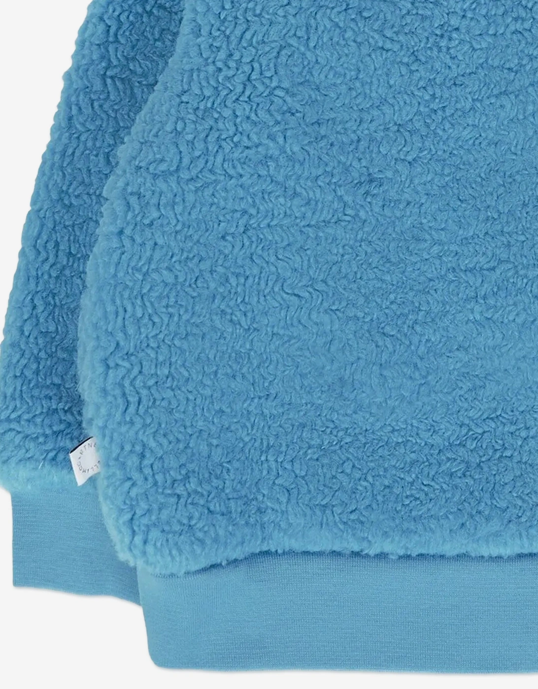 Baby Boys Teddy Fleece Sweatshirt in Blue