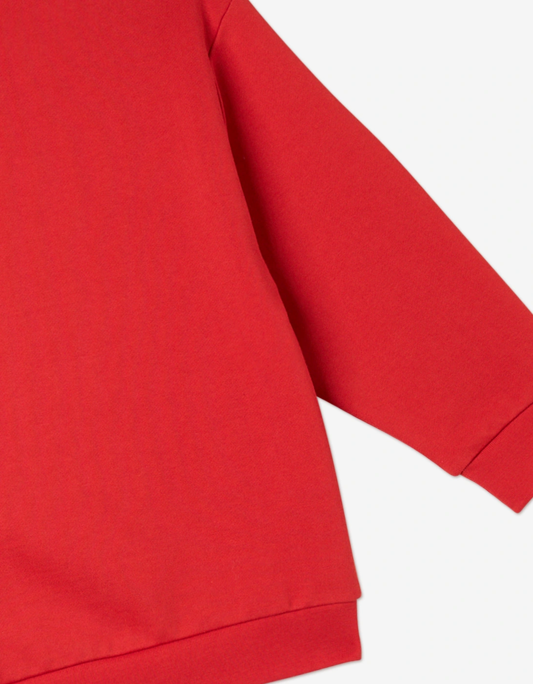 Boys Logo Sweatshirt in Red