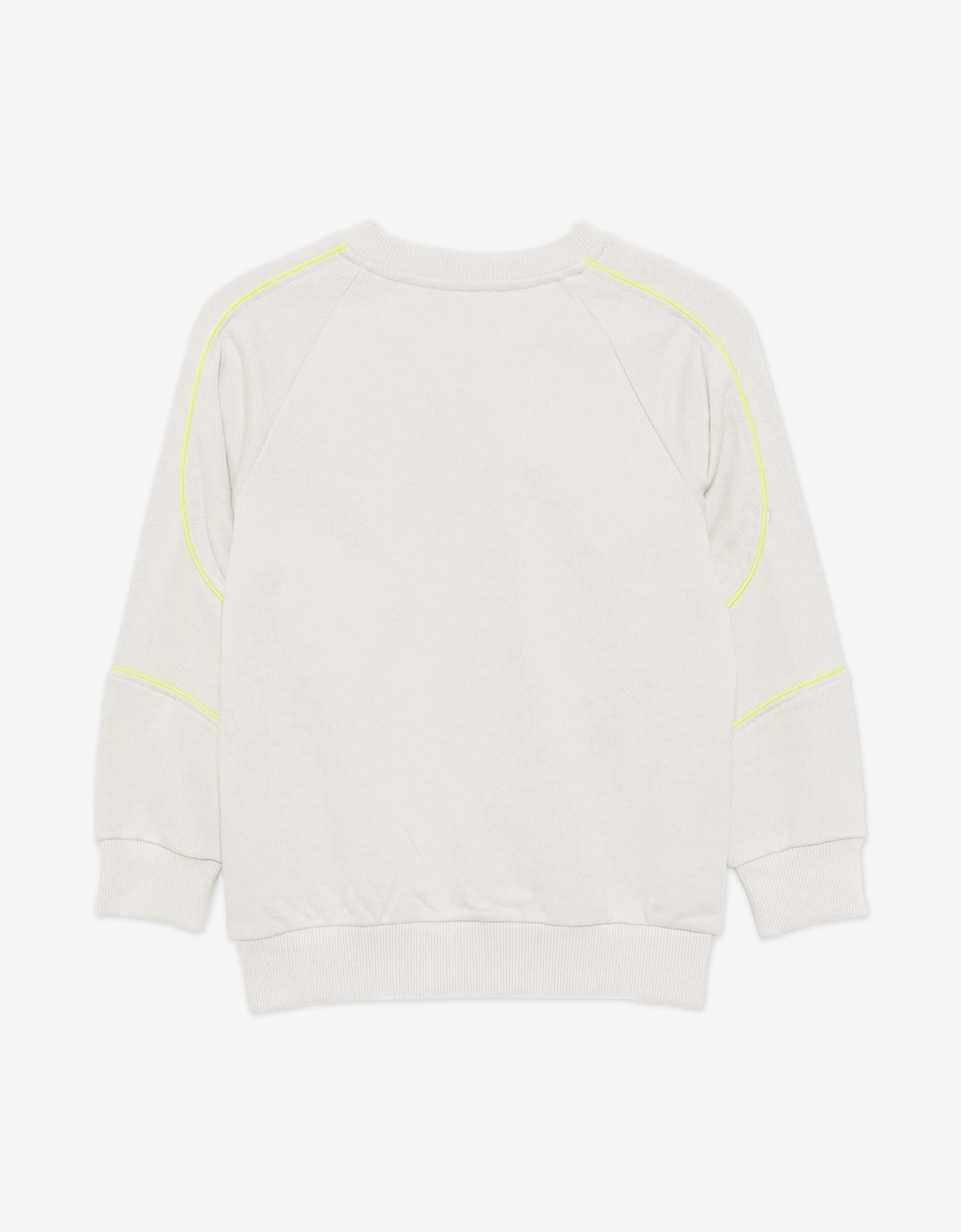 Boys Logo Sweatshirt in Grey