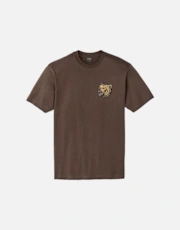 Dark Brown/Any Weather