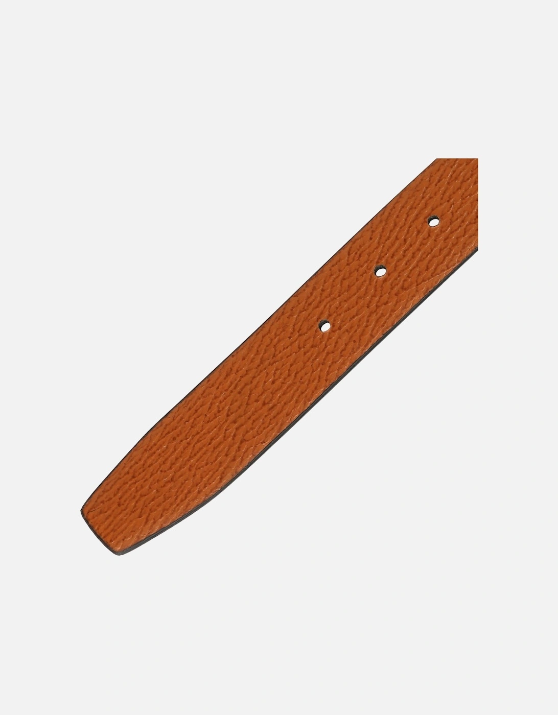 Fife Reversible Belt (L)