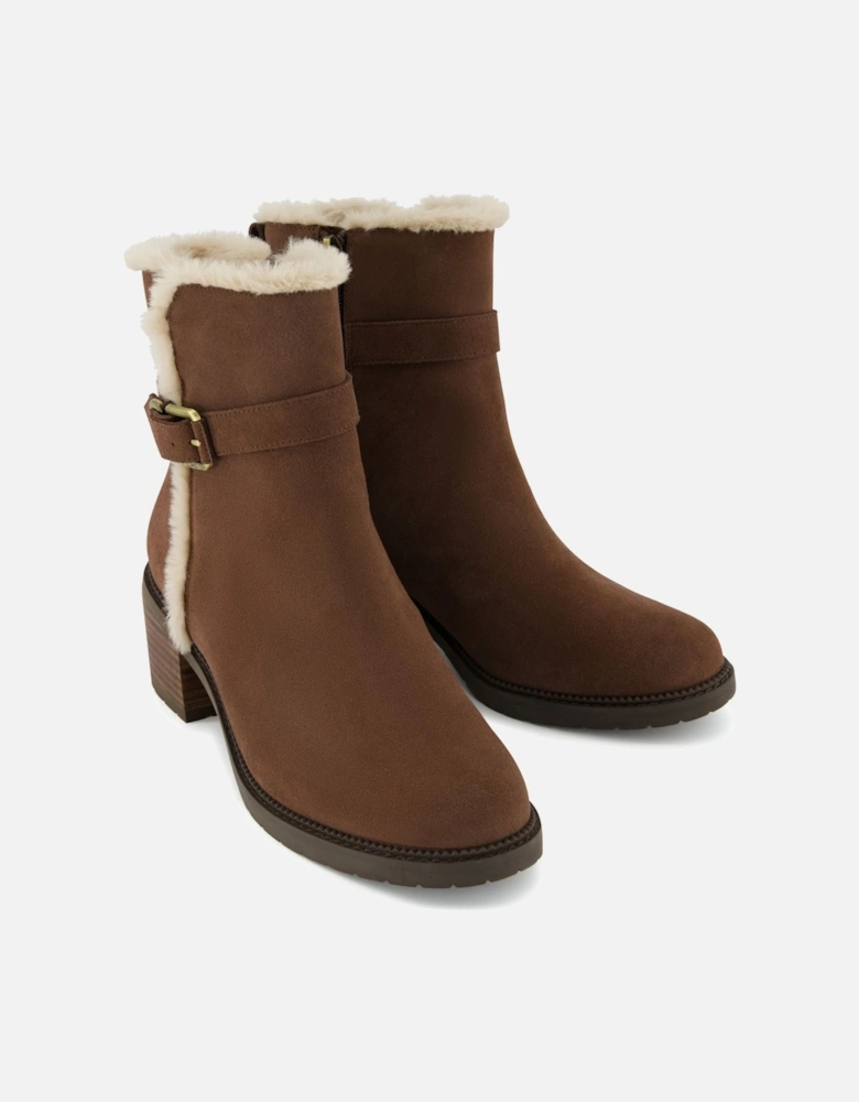 Hailey Buckle Suede Women's Dark Brown Boots