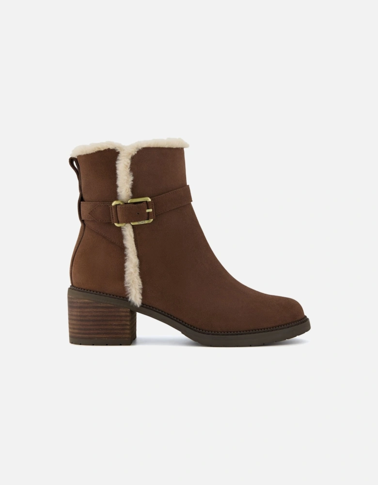 Hailey Buckle Suede Women's Dark Brown Boots