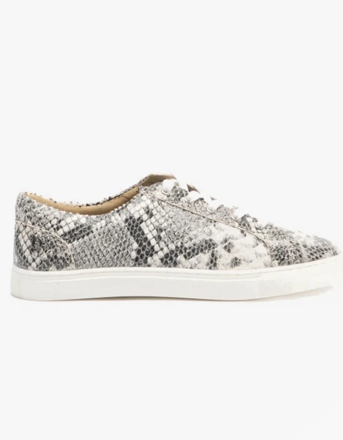 TESSA Womens Leather Casual Trainers Python, 7 of 6