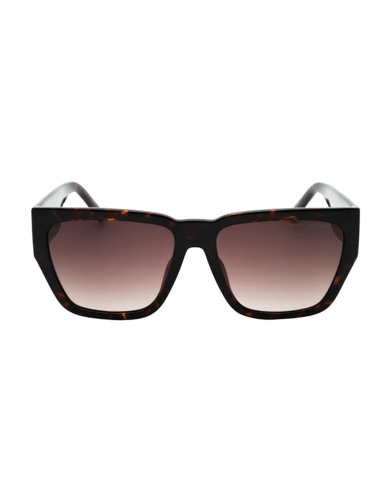 Dark Brown Gradient Lens Tortoise Brown Sunglasses