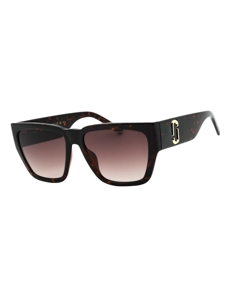 Dark Brown Gradient Lens Tortoise Brown Sunglasses