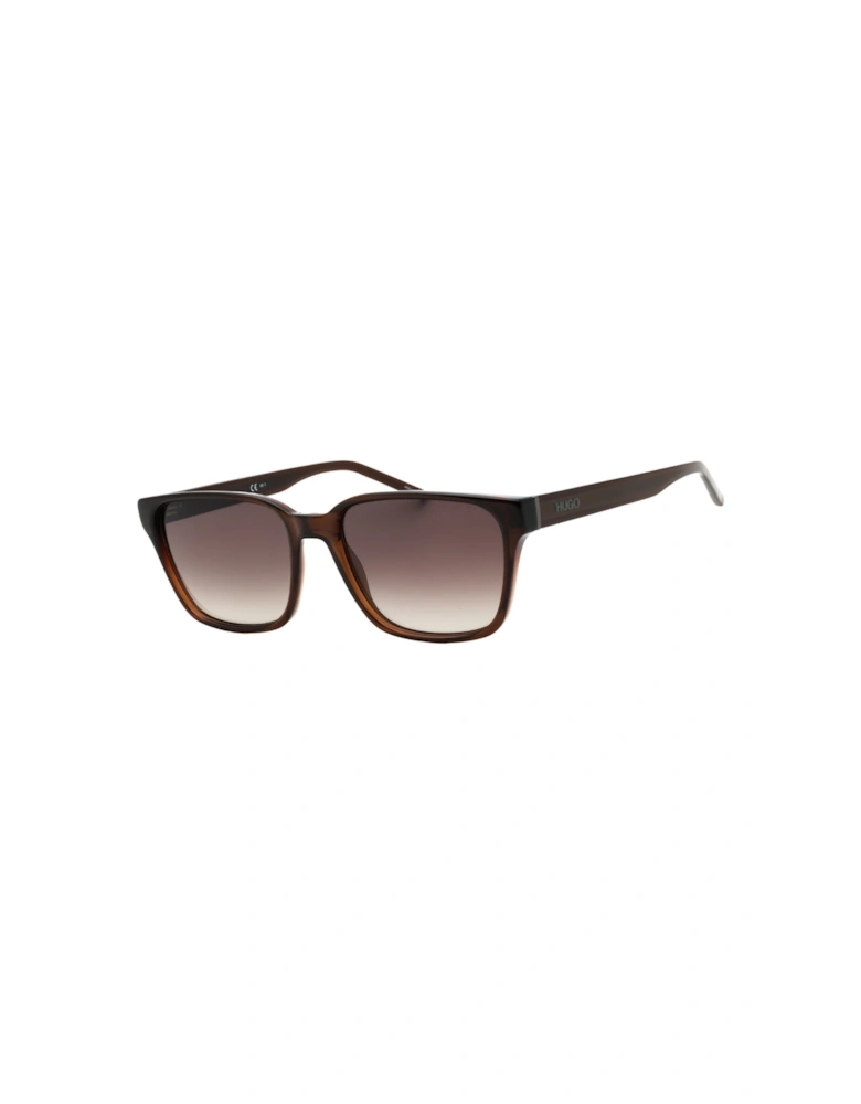Brown Sf Lens Brown Sunglasses
