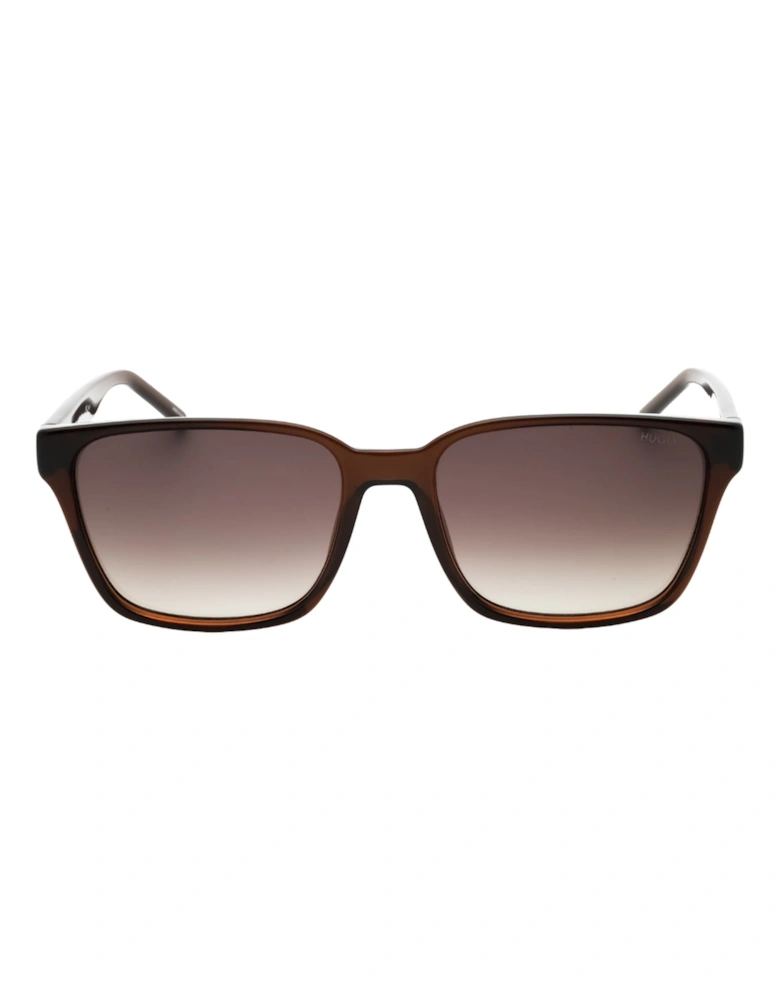 Brown Sf Lens Brown Sunglasses