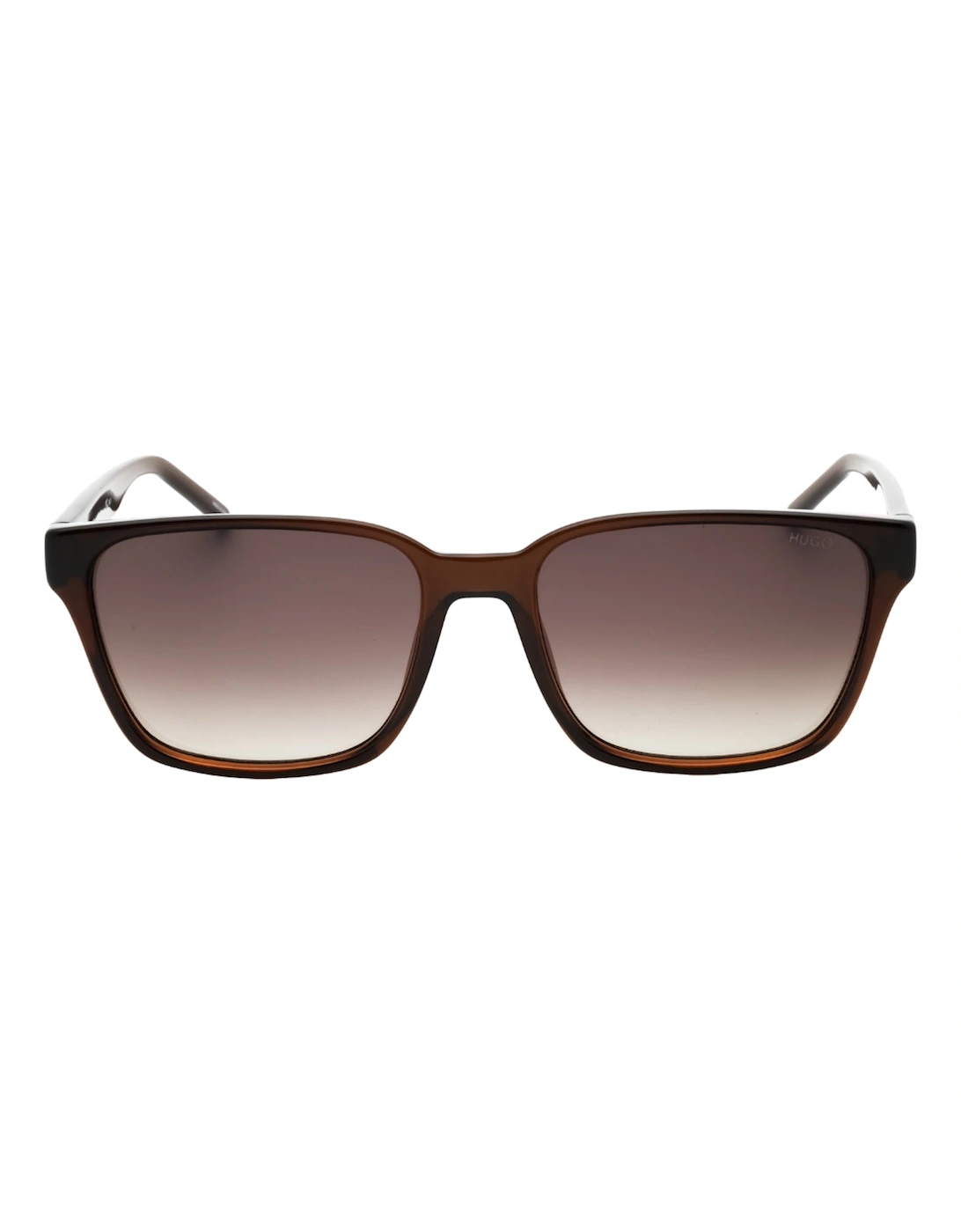 Brown Sf Lens Brown Sunglasses, 3 of 2