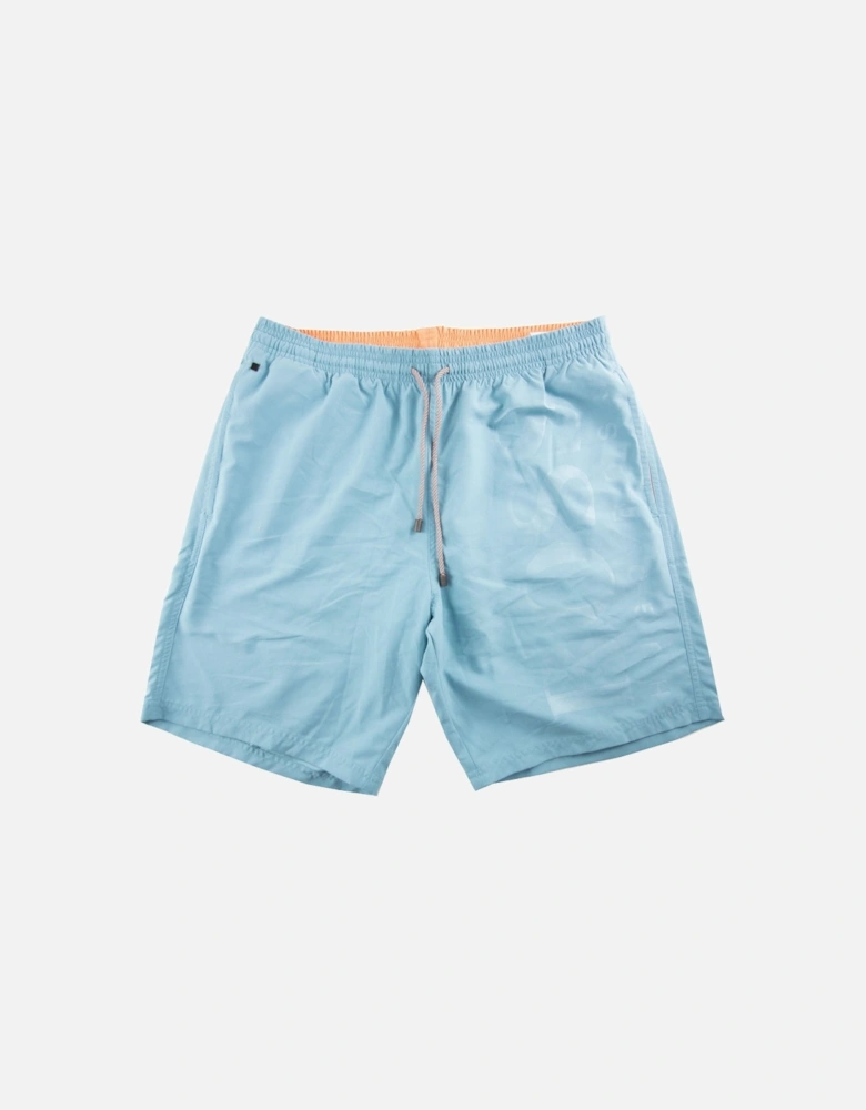 Orca Swim Shorts Sky Blue