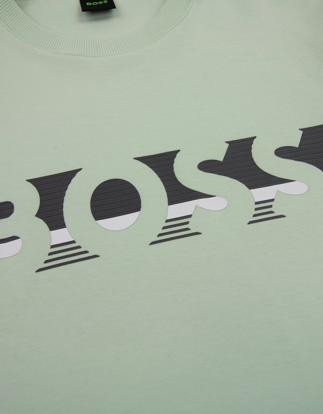 Salbo 1 Broken Logo Crewneck Sweatshirt Pastel Green 361