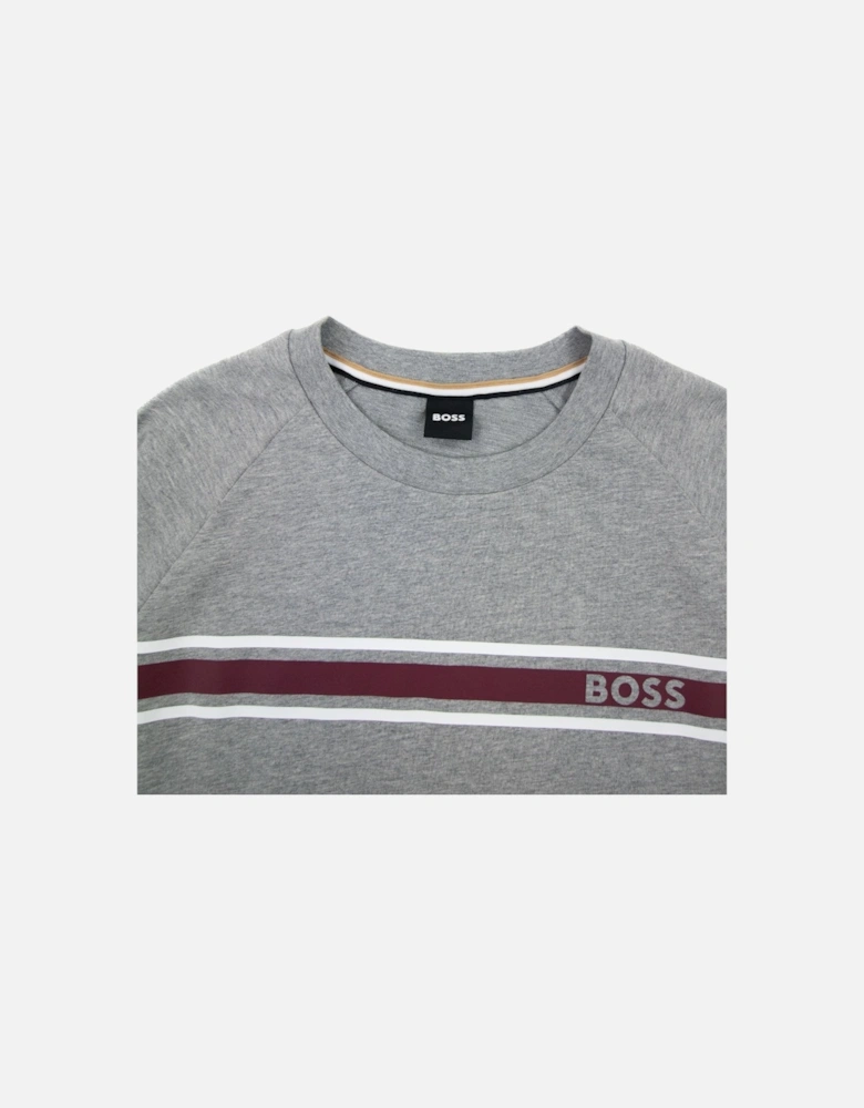 Authentic Logo Crewneck Sweatshirt Grey 033