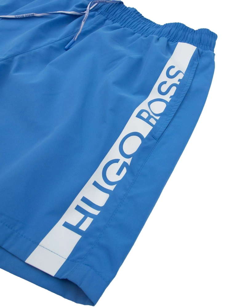 Dolphin Shorts Sky Blue