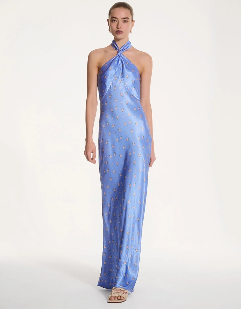 Arles Floral Dress in Light Blue