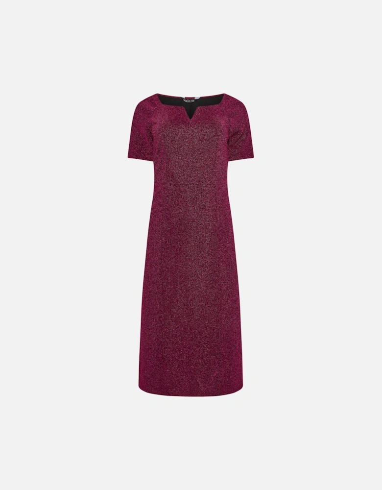 Glitter Notch Neck Dress