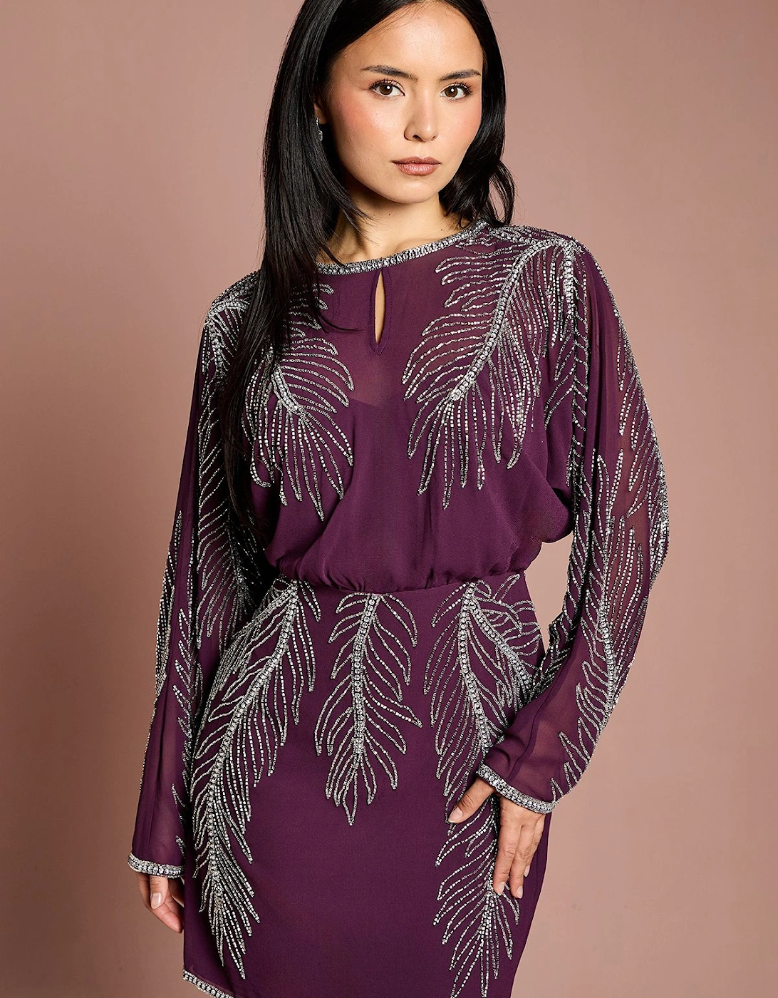 Petite Long Sleeve Placement Feather Embellished Mini Dress, 2 of 1