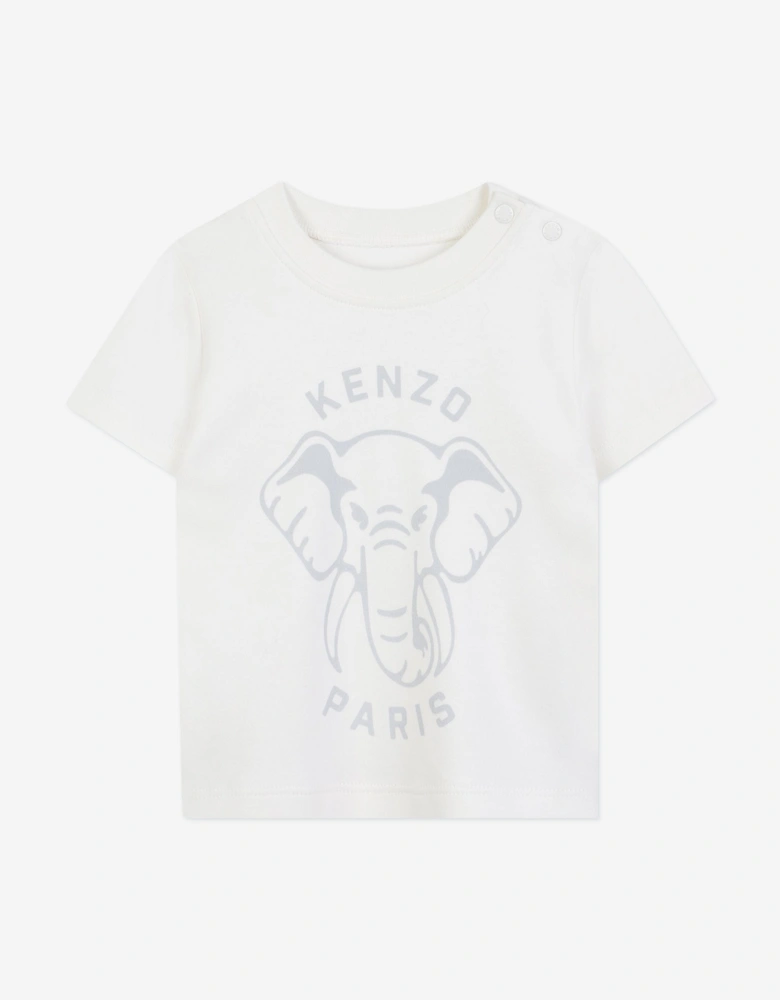 Baby Boys 3 Piece Tracksuit Set in Blue