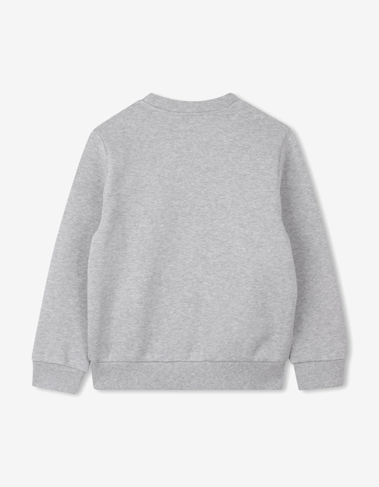 Boys Lucky Tiger Sweatshirt in Grey