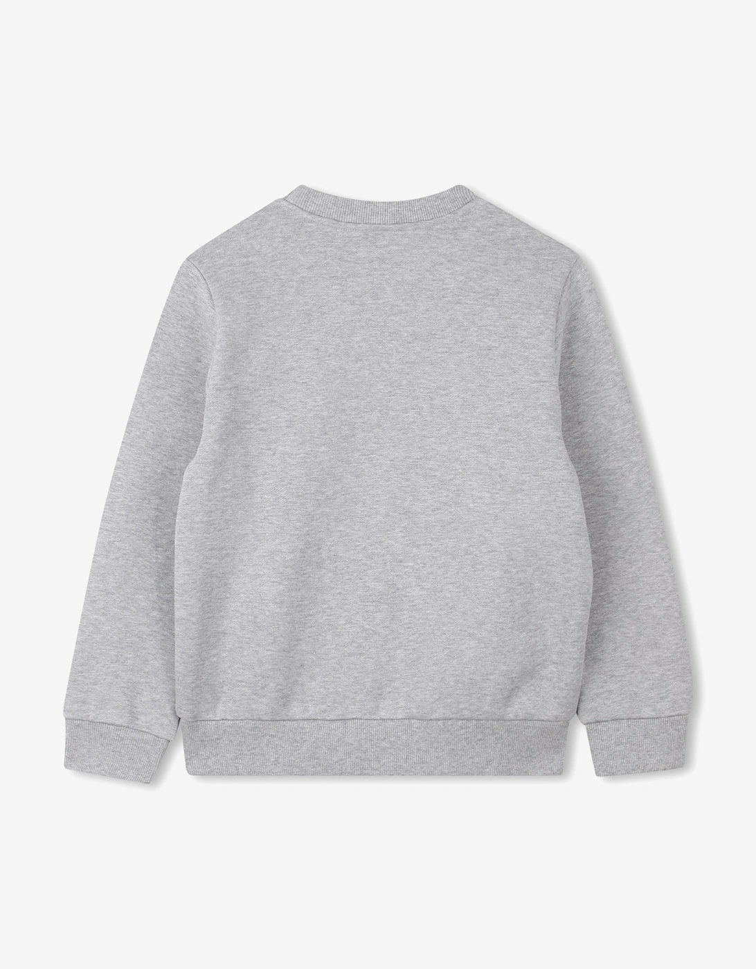 Boys Lucky Tiger Sweatshirt in Grey