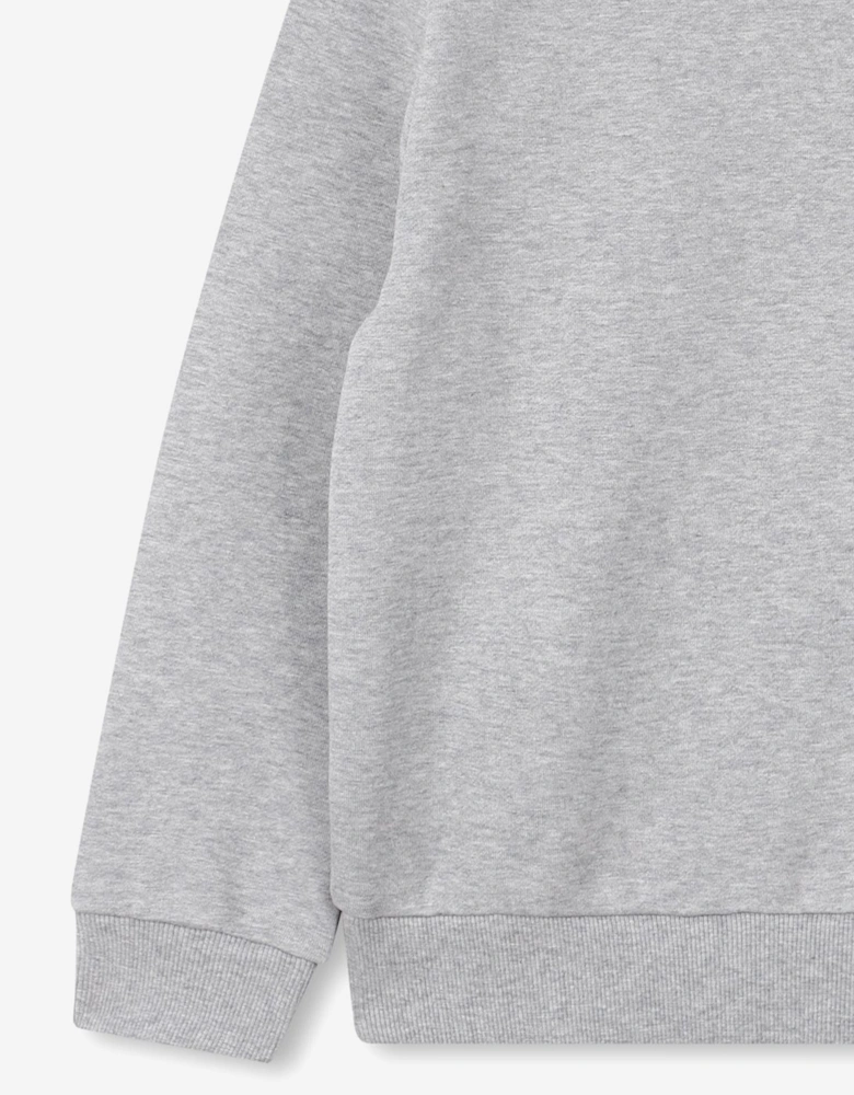 Boys Lucky Tiger Sweatshirt in Grey