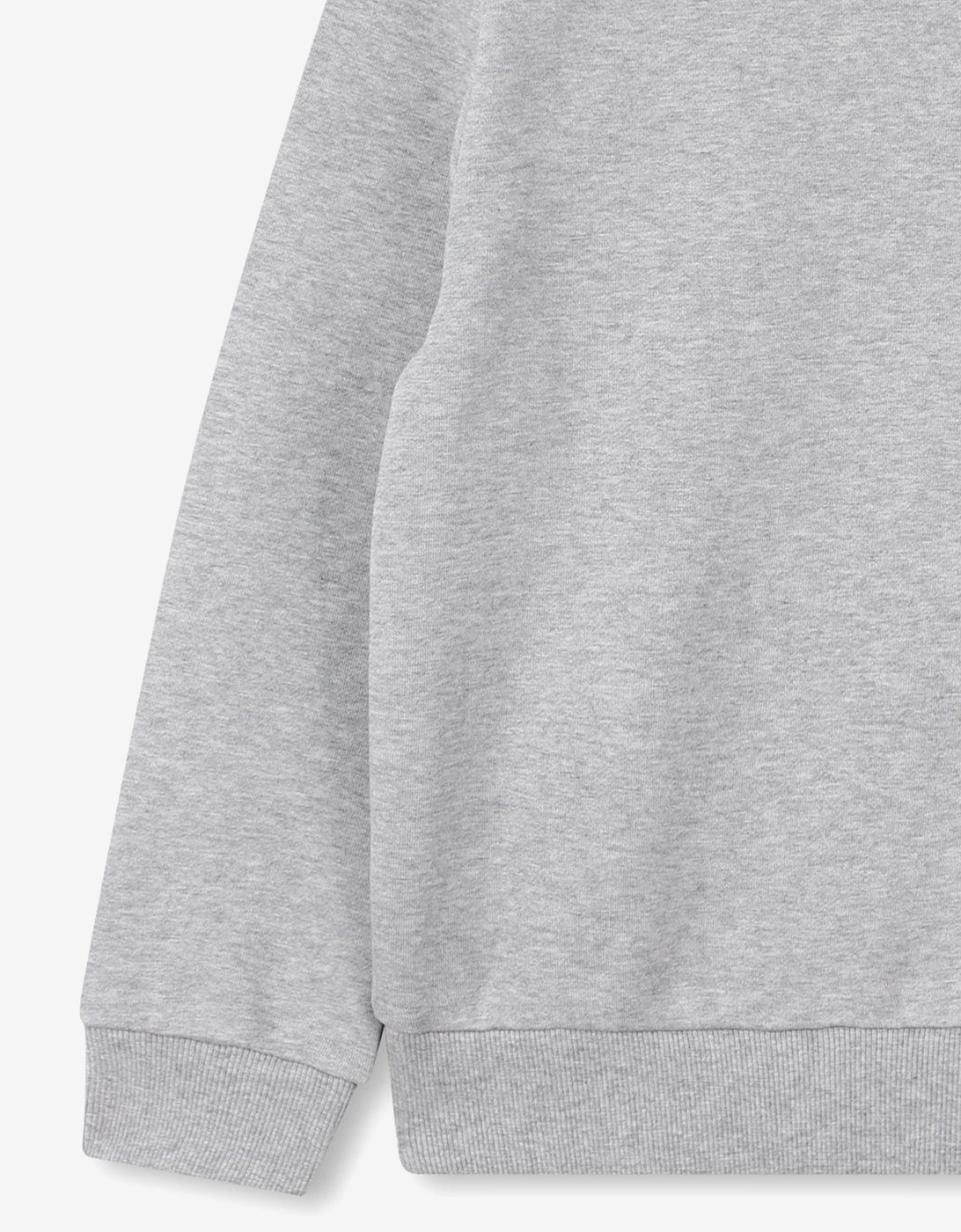 Boys Lucky Tiger Sweatshirt in Grey