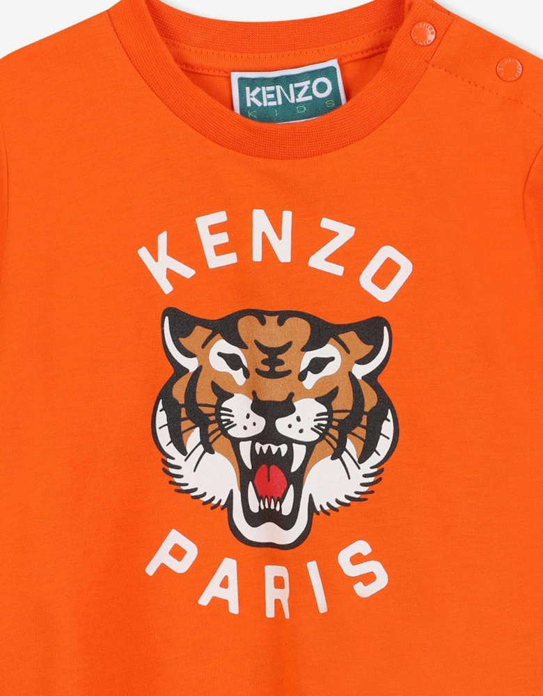 Baby Boys Kotora Tiger T-Shirt in Orange