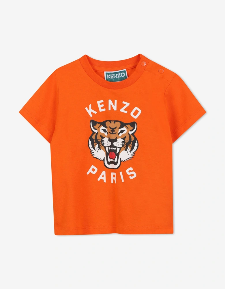 Baby Boys Kotora Tiger T-Shirt in Orange