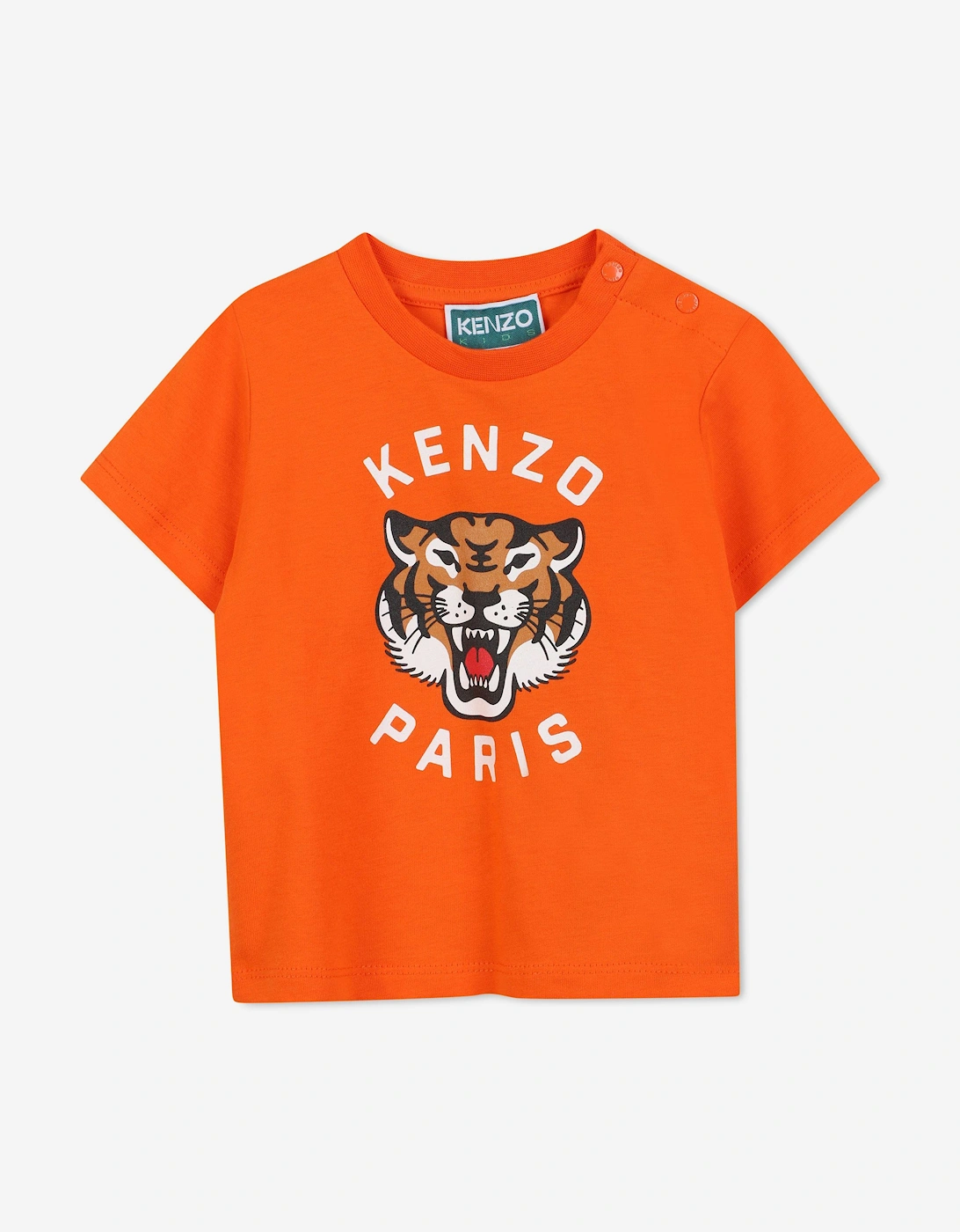 Baby Boys Kotora Tiger T-Shirt in Orange, 5 of 4