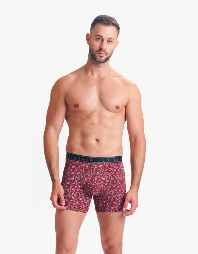 3-Pack Cotton Boxer Briefs Mens Boxer Briefs Heather Grey/Kinsel Red/Black