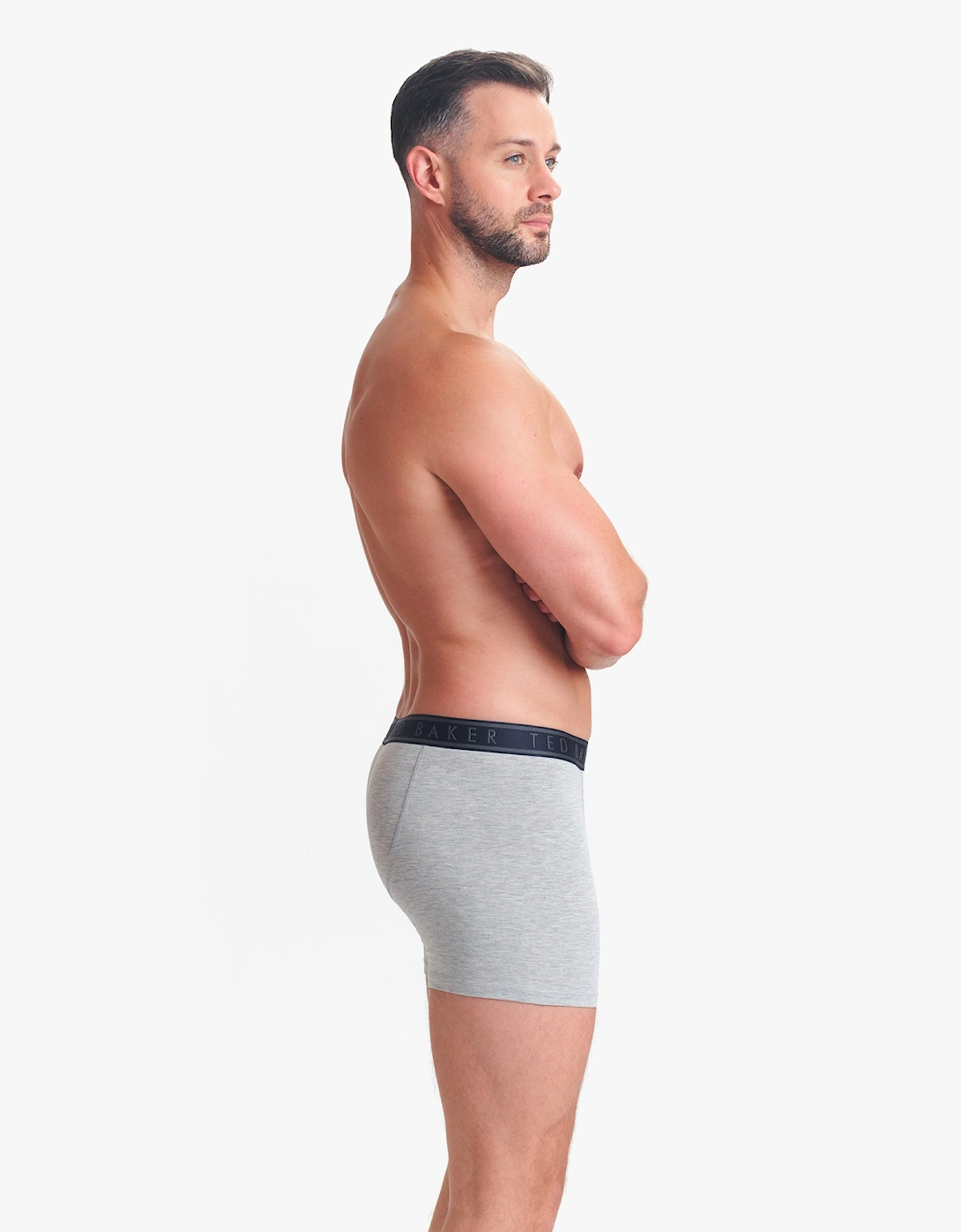 3-Pack Cotton Boxer Briefs Mens Boxer Briefs Heather Grey/Bowwow/Reflecting Pool
