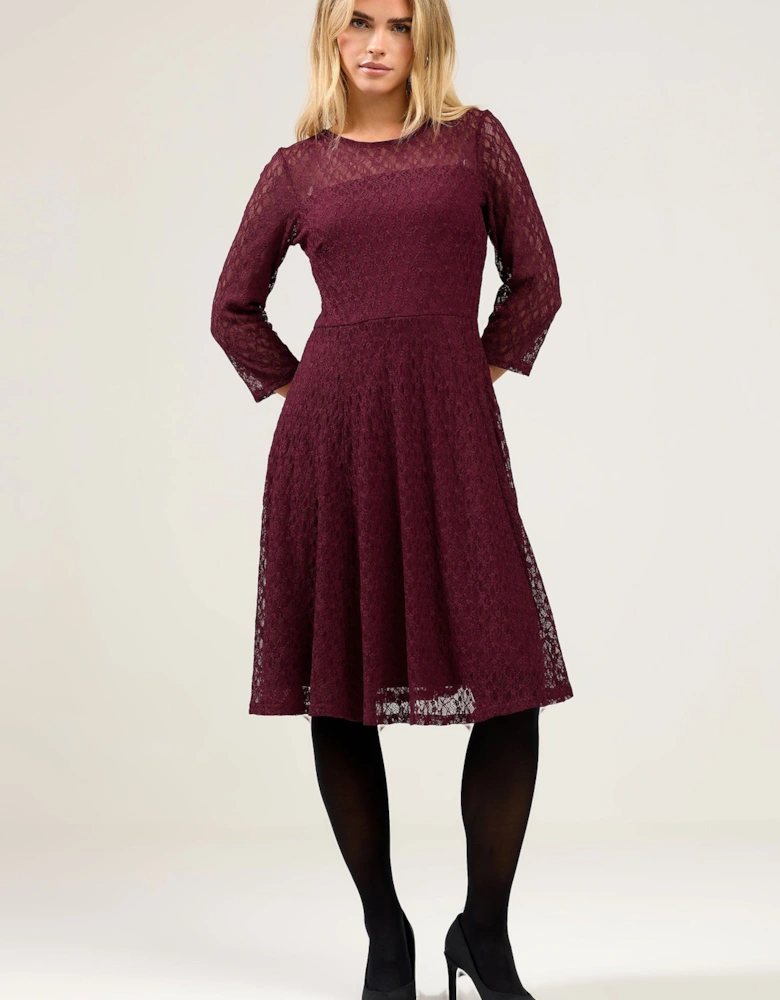 Petite Lace Skater Dress