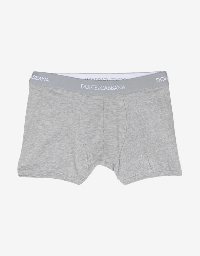 Boys 2 Pack Boxer Shorts Set in Grey