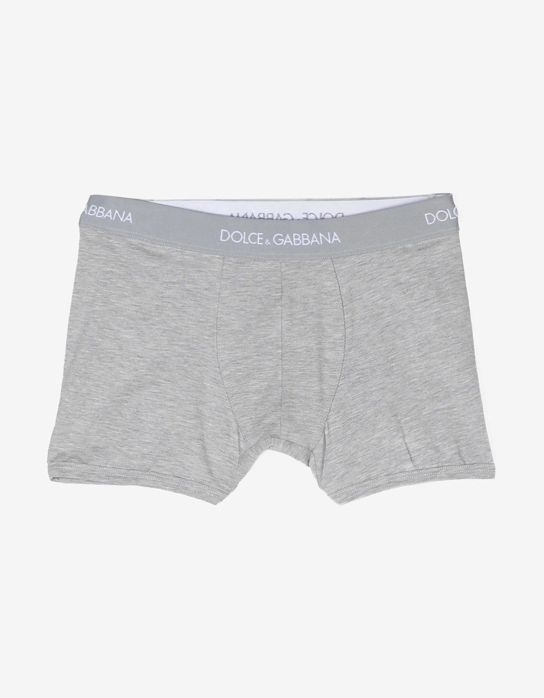 Boys 2 Pack Boxer Shorts Set in Grey