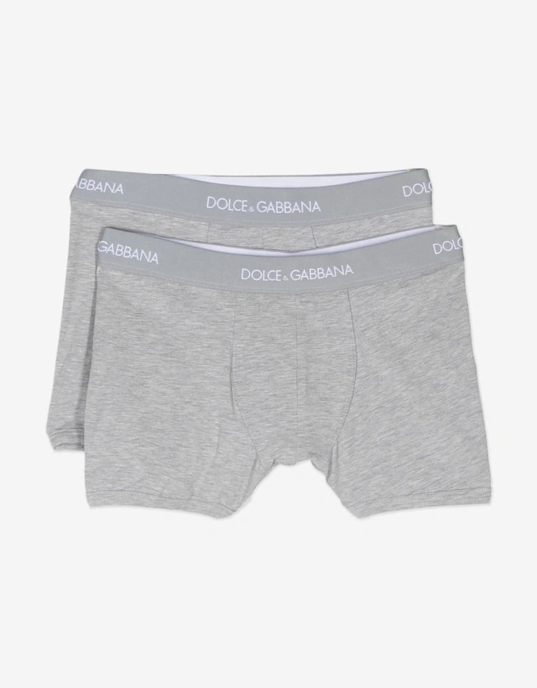 Boys 2 Pack Boxer Shorts Set in Grey