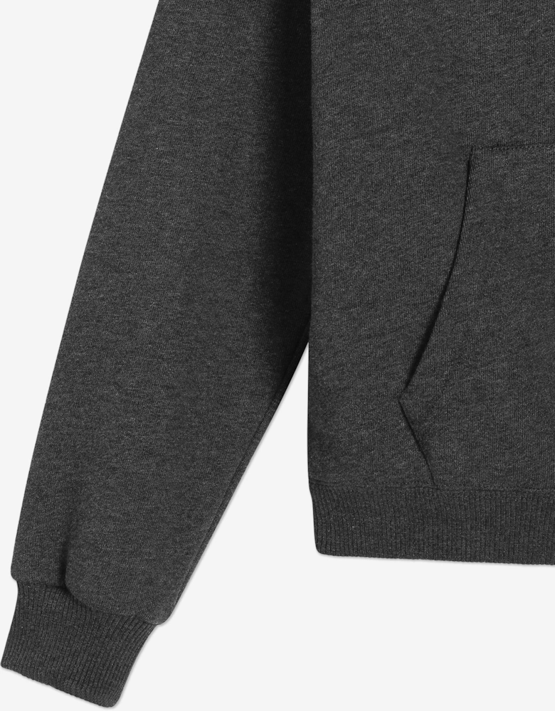 Boys Logo Zip Up Top in Grey