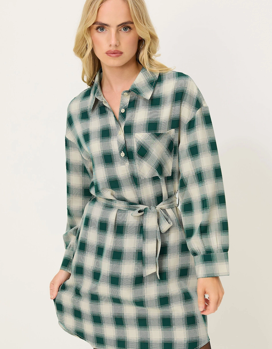 Petite Check Print Shirt Dress, 2 of 1