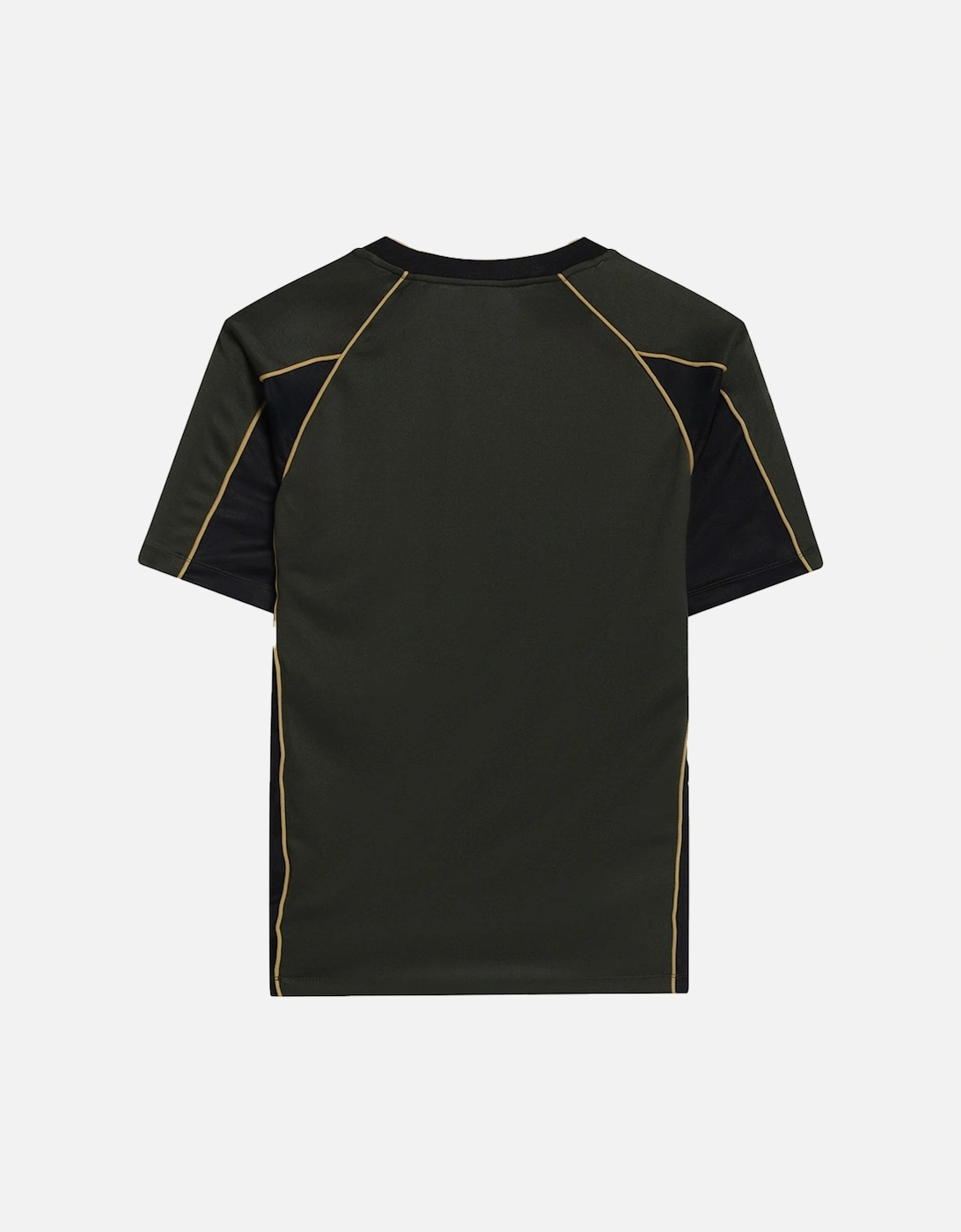 Mens Panelled Raglan T-Shirt