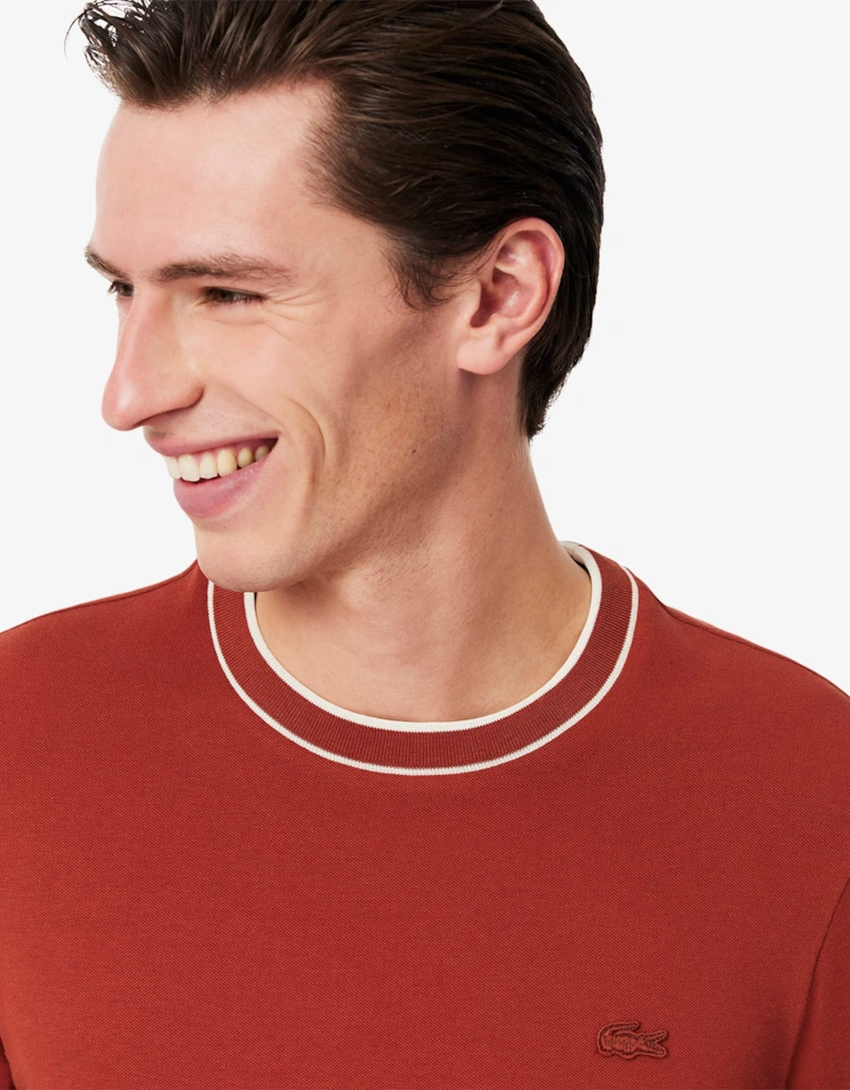 Stretch Pique Stripe Collared T-Shirt