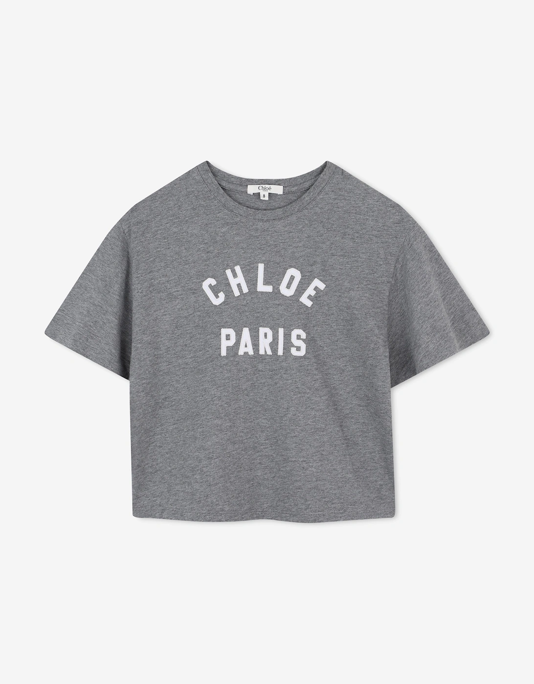 Girls Applique Logo T-Shirt in Grey, 5 of 4