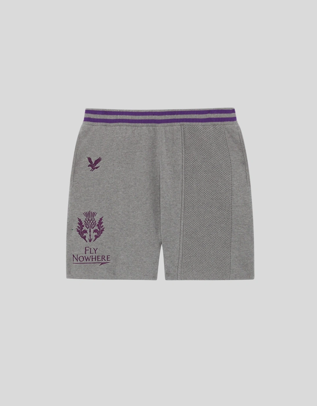 Engineered Stripe Shorts