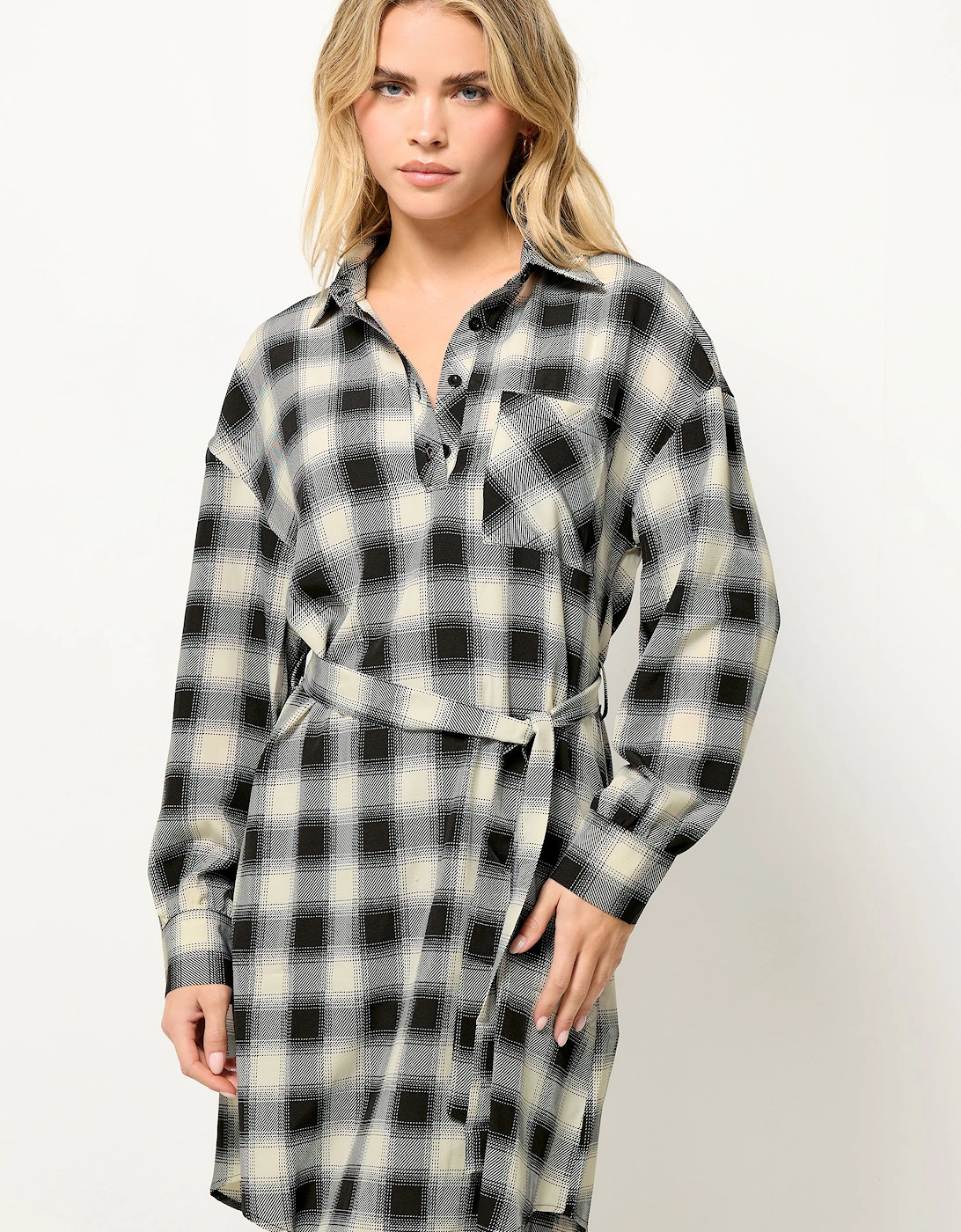 Petite Check Print Shirt Dress, 2 of 1
