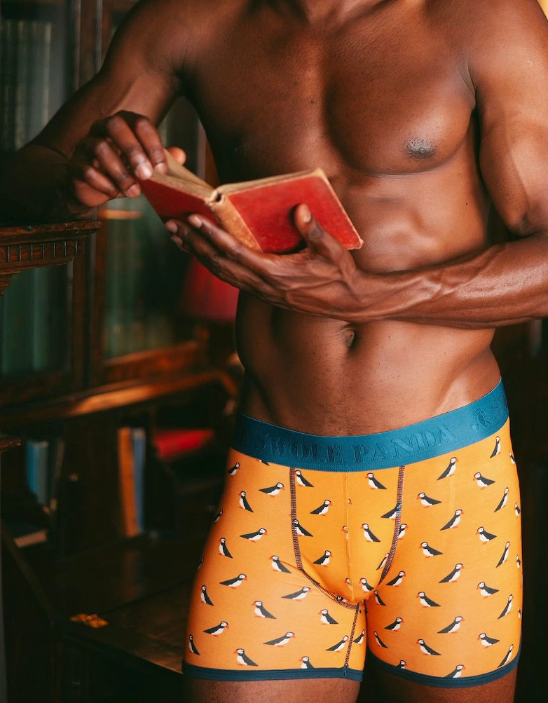 Puffins Bamboo Boxer Brief, Orange/blue