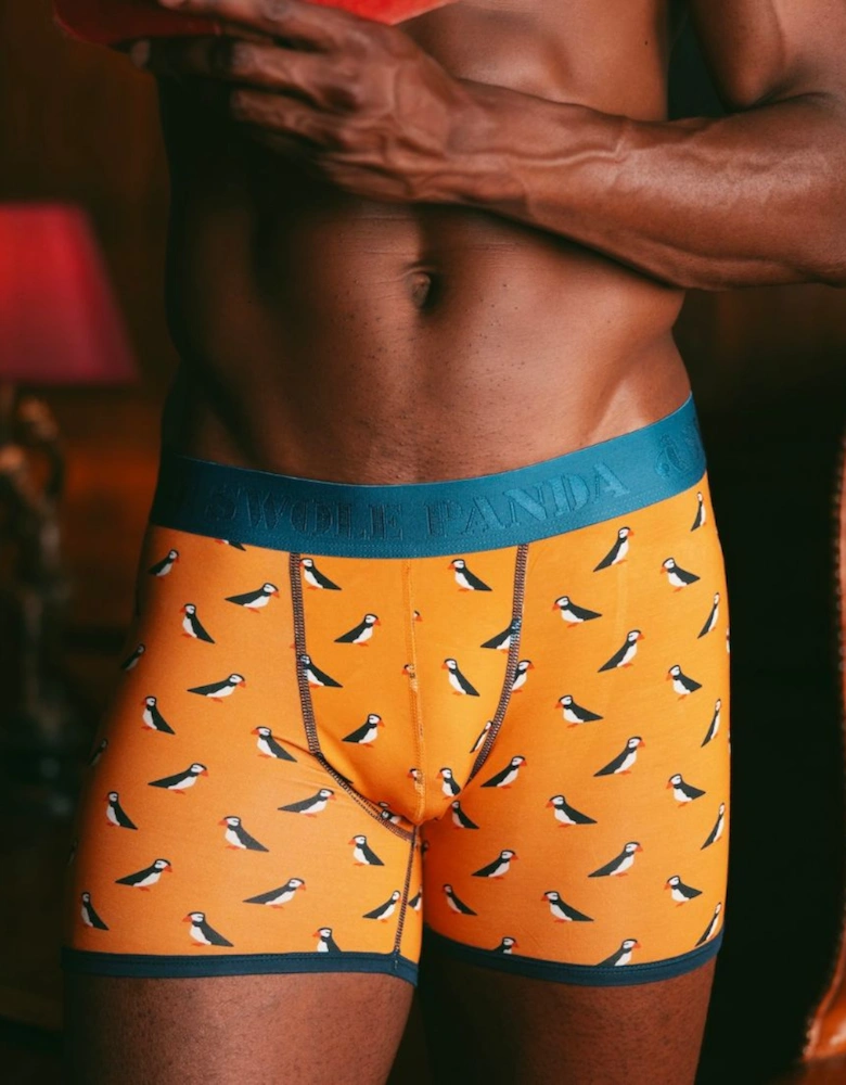 Puffins Bamboo Boxer Brief, Orange/blue