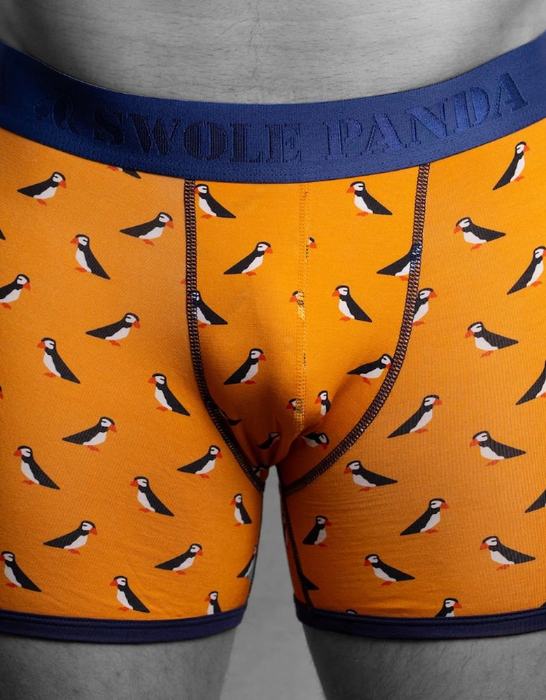 Swole Panda Men's Orange/Blue Puffins Bamboo Boxer Brief,  36/37/38/39/40 Xl Size 36-40" / 92-102Cm